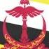 Brunei National Anthem Instrumental