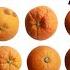 The 12 Breast Cancer Symptoms And Signs What To Look For On Your Self Breast Exam