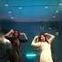 Gun Gun Guna Re Isha Surti Shortvideo Dance Dancevideo Choreography Easy Fun Wedding