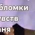 обломки чувств