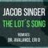 Jacob Singer The Lot S Song Eri D Remix