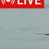 LIVE Windy Approaches Into Amsterdam Polderbaan 18R Landings EHAM May 24 2025