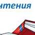 Моё читательское лето