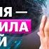 Алексей Семихатов Как сила притяжения управляет всем вокруг