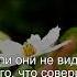 Коран Сура Ясин 36 71 Чтение Корана с русским переводом Quran Translation In Russian