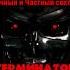 В стиле Сектор Газа Терминатор в качестве на песню СГ Снегурочка Ai кавер By Частный сектор