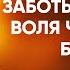 Иоанн Златоуст 22 Бесполезные заботы одежда воля человека блага Беседы на Матфея