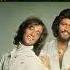 Bee Gees Night Fever 1977 Disco Purrfection Version