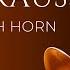 SCORE STRAUSS Horn Concerto No 1 Mvt 3