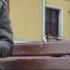 The Tambov Lion Film By Maxim Smirnov 15min