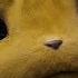 What A Pikachu World