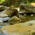 Gentle Sounds Of A Mountain Stream 12 Hours In 4K For Relaxation Study Sleep