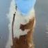 Meet The Dog Who Learned To Walk Like A Human