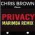 Latest IPhone Ringtone Privacy Marimba Remix Ringtone Chris Brown