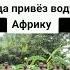 МЕМЫ С НЕГРАМИ негр мемы угар анекдоты шуткипронегров водаунегров вода