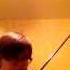 Beethoven Marmot Violin