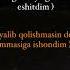 Ishondim