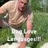 DOG LOVE Languages Patriotpups Lovelanguage Whitegermanshepherd Veteran