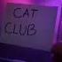 Çat Club Viral Catshorts Shorts Cats Catclub