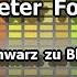 Peter Fox Schwarz Zu Blau Karaoke