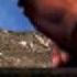 Machel Montano HD Wild Antz Offical Soca Music Video 2009