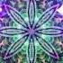 Future DnB Visualizer