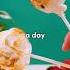 Is This S MORES CAKE POP Actually As Good As The Original