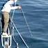 Harpooning Giant Bluefin Tuna Shorts Fishing