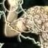 METEO RAIUNO 1980