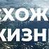 Происхождение Как появилась жизнь на планете Земля Документальный фильм Мифы эволюции