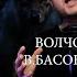 ВОЛЧoНОК В Басов АКЫЛБЕК Bekarti голос Voice әндер Cover