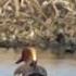 КРАСНОНОСЫЕ НЫРКИ Netta Rufina Red Crested Pochard НА ОЗЕРЕ