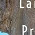Coastal Processes Characteristics Landforms SUNDAY MORNING COFFEE AQA GCSE 9 1 Geography 2021