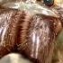 Jumping Jack Ants Vs Green Bellied Huntsman Spider MONSTER BUG WARS