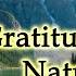 Gratitude For Nature Gratitude Is Magical