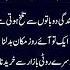 Imamsadiq ع Silentstories Aqwal E Zareen Zindagi Talkhi Islamicquotes Urduquotes Shortvideo
