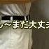 BL作品と現実のゲイの違いあるある15 事後の雰囲気 LGBT あるある BL ゲイ