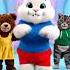 Babysharkdance Cute Animaldance Pomeranian Petvideos Animals Recommended Rabbit Funny