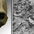 The First People And Last Mammoths Of Wyoming