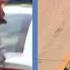Amber Alert Ends After Police Chase On I 40 In Benson 5 Year Old Girl Found Safe Mom In Custody