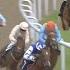 HOW DID HE WIN FROM THERE Crazy Horse Race Sees Bone Marra Make An Amazing Recovery On Debut