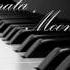 Arthur Rubinstein Beethoven Moonlight Sonata Op 27