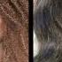 My New 28 Hair 5 Bundles Cheap Brazilian Bodywave Hair Wo Wigs Co Ltd
