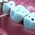 UNLOCK EASY DENTAL CARE WITH ORAL BREEZE SUBSCRIBE FOR TIPS AND RECOMMENDATIONS
