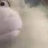 Muppet Songs Shepherd Rama Lama Ding Dong