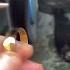 How To Polish Clean And Take Care Of Natural Emerald Gold Jewelry