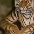 SkinWalker Disguised As Animals PRT 53 Viral Ytshorts