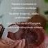 Synergy 5 Mushroom Wellness Kokora