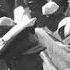 World Mourns Nehru 1964