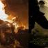 Paris PSG LIVE PSG Champions League Celebrations Turns Violent As Clashes Erupts In Paris N18G